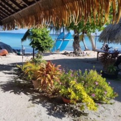 Pension Raita in Ahe, French Polynesia from 170$, photos, reviews - zenhotels.com photo 9