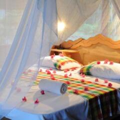 Danpaati River Lodge in Paramaribo, Suriname from 110$, photos, reviews - zenhotels.com spa