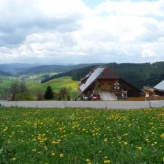 Haberjockelshof - Bild 10