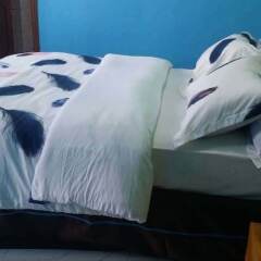 Residence Du Lac in Douala, Cameroon from 45$, photos, reviews - zenhotels.com guestroom