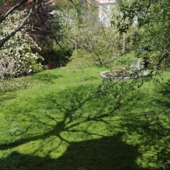 Ferienwohnung Villa am Stadtpark - Bild 10