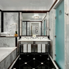 The St. Regis New York thumbnail 25