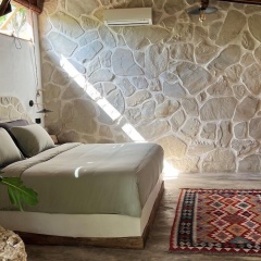 Roots Tree House - Bild 3