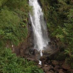 Joy's Apartment in Roseau, Dominica from 71$, photos, reviews - zenhotels.com photo 16