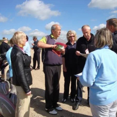 Pension Weststadt - Bild 8