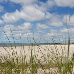 Wychmere Beach Club thumbnail 13