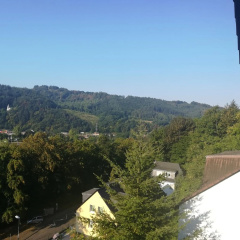 Ferienwohnung am Weinberg - Bild 9