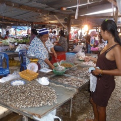 Klong Muang Inn - Bild 24