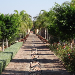 Terra Mia Marrakech - Riad - Bild 17