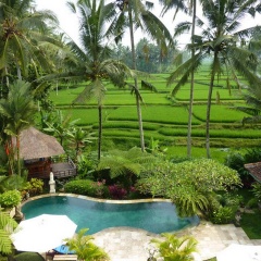 Villa Orchid Bali - Bild 4