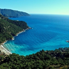 Olive Garden Kabak - Bild 19