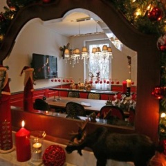 Villa Brockenhexe - Bild 2