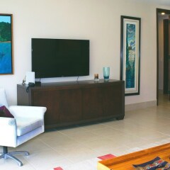 Villa Athena in Rio Grande, Puerto Rico from 463$, photos, reviews - zenhotels.com photo 4