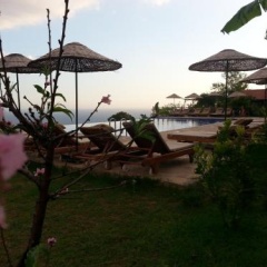 Olive Garden Kabak - Bild 20