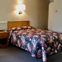 T-Bird Motor Inn thumbnail 1