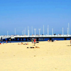 Studio In Arcachon With Wonderful Sea View And Furnished Balcony thumbnail 9