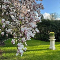 Boutique Hotel Rosengarten Hamburg - Bild 18