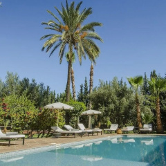 Riad Villa Sophia GHZALA - Bild 13