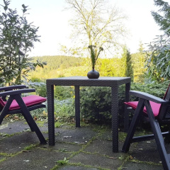 Geraumige Wohnung in Altenau mit Terrasse - Bild 9
