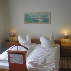 Adler - Bild 2