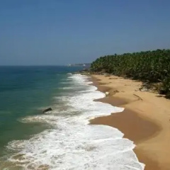 Marari Cleetus beach homestay thumbnail 9