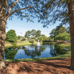 Club Wyndham Kingsgate thumbnail 15