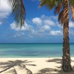 Affordable family apartment only 350 yards from Eagle Beach in Arikok National Park, Aruba from 315$, photos, reviews - zenhotels.com photo 2