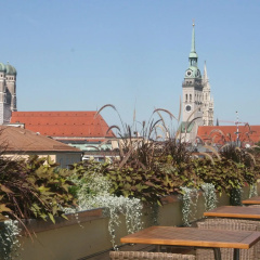 Hotel Deutsche Eiche - Bild 17