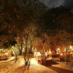 Mara Bush Camp thumbnail 16