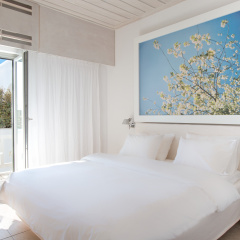 Grace Mykonos thumbnail 2