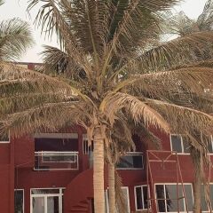 Ngor House in Dakar, Senegal from 61$, photos, reviews - zenhotels.com photo 8