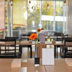 Akademie - Bild 7