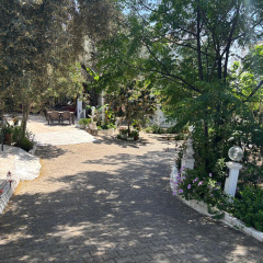 Ali Baba Hotel - Bild 21