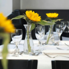 DK Hotel Heidelberg - Bild 17