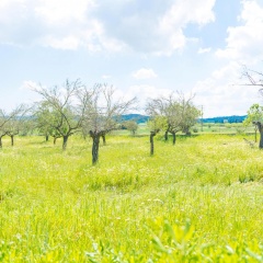Casa Holganza - Bild 13