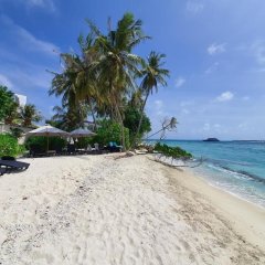 Orimas Retreat in North Male Atoll, Maldives from 70$, photos, reviews - zenhotels.com photo 31