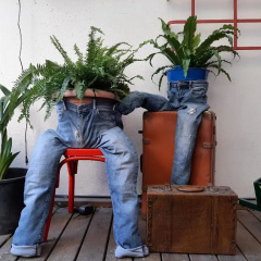 Il Girasole - Bild 27