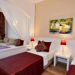 Ayaz Aqua - All Inclusive - Bild 3