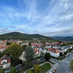 Auerstein - Bild 15