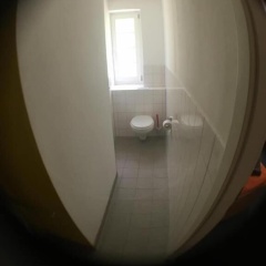 Zimmerfrei - Bild 12