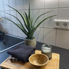 Room-spacious Room in Coliving Apartment - Bild 4