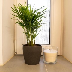 FULL HOUSE Studios - Blue Apartment - NETFLIX, WiFi inkl - Bild 7