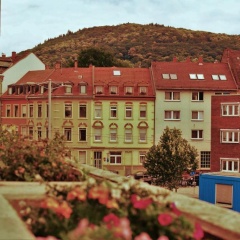 Weststadtblick - Bild 1