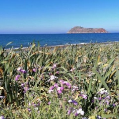 Mariliana Hotel thumbnail 15