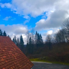 Waldhotel Peter aufm Berge - Bild 8