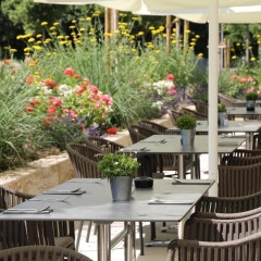 Hotel INCLUDiO - Bild 13