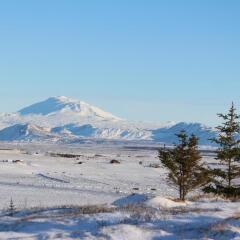 Skeiðvellir Villa in Laugaras, Iceland from 391$, photos, reviews - zenhotels.com photo 36