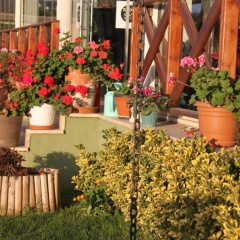 Riva's Club - Bild 2