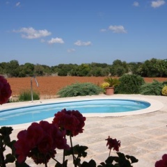 Los Geraneos - Bild 5