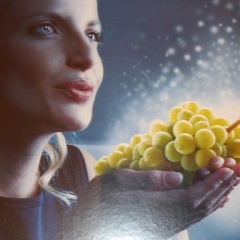 Vino Vitalis - Bild 4